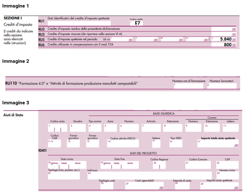 img indicazione in dichiarazione